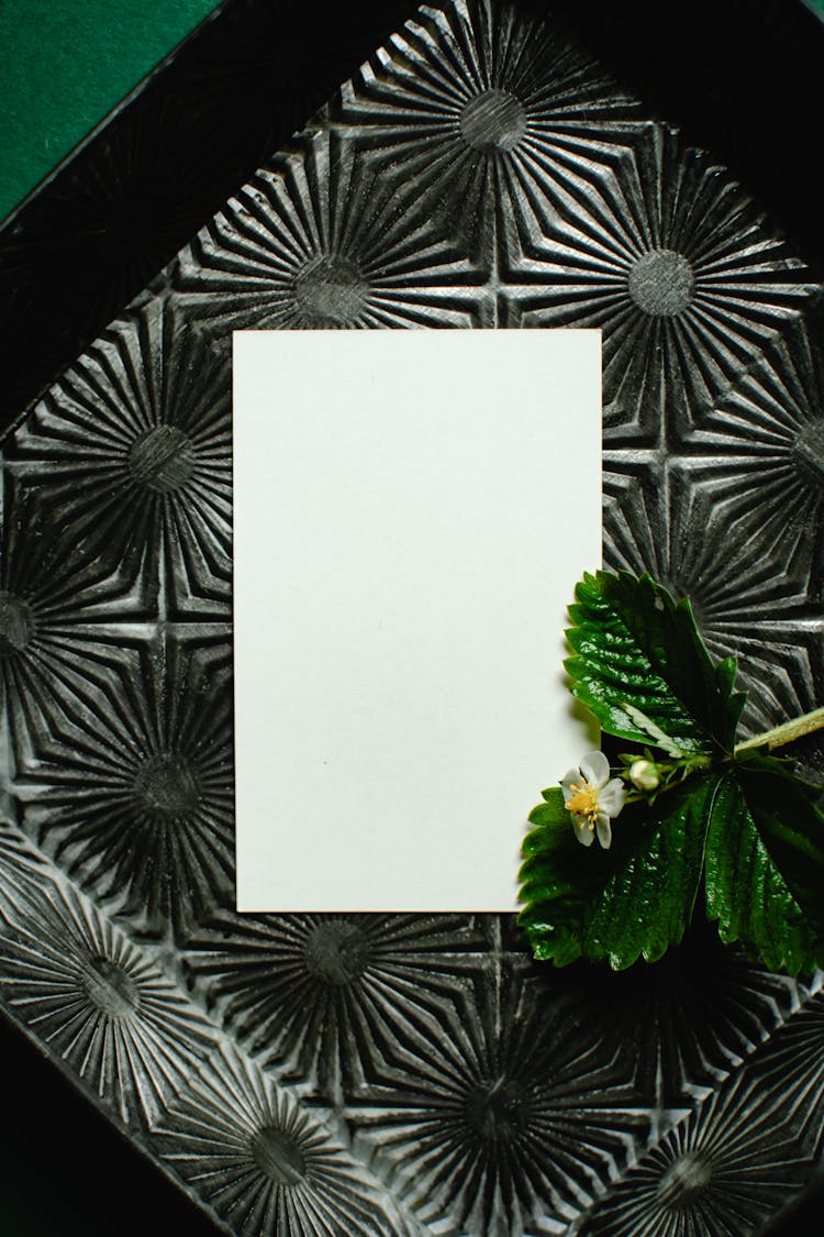 A Blank Card Near Green Leaves