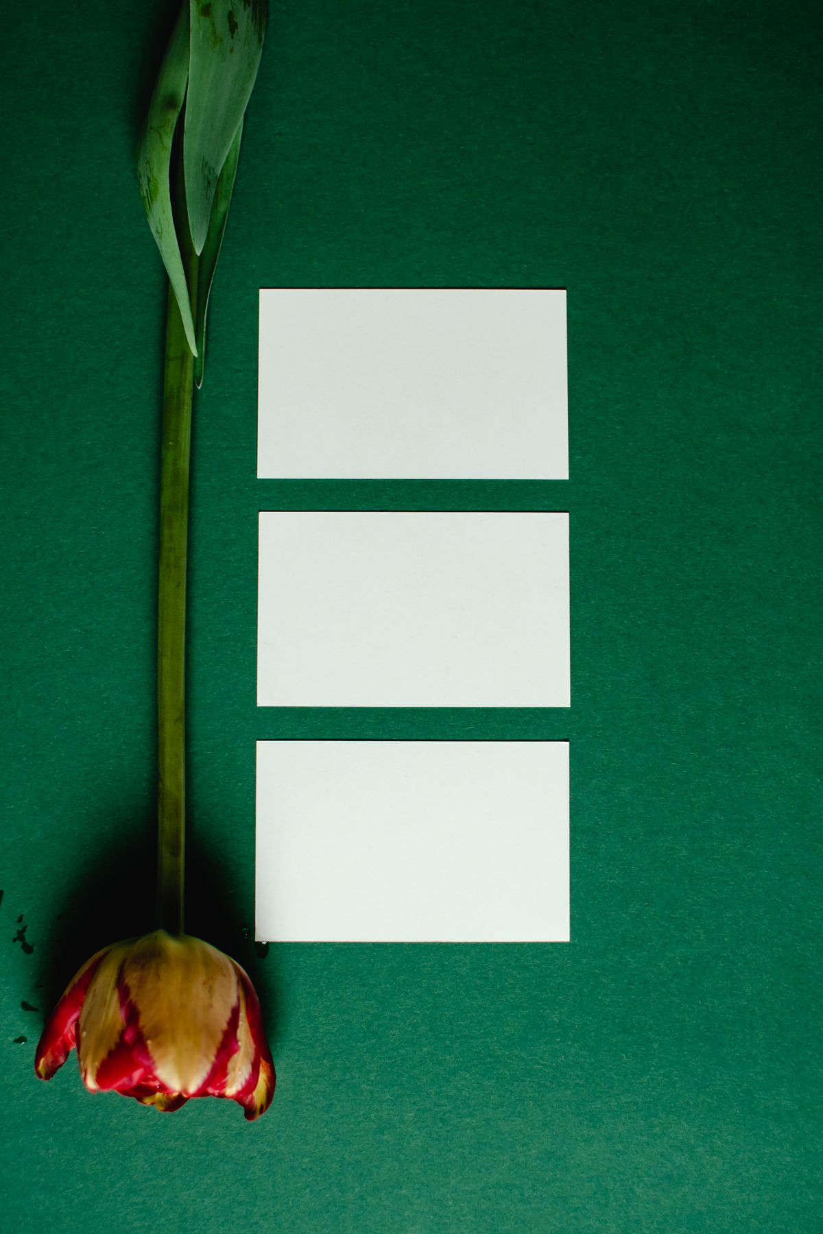 Writing Background Photos, Download The BEST Free Writing Background ...