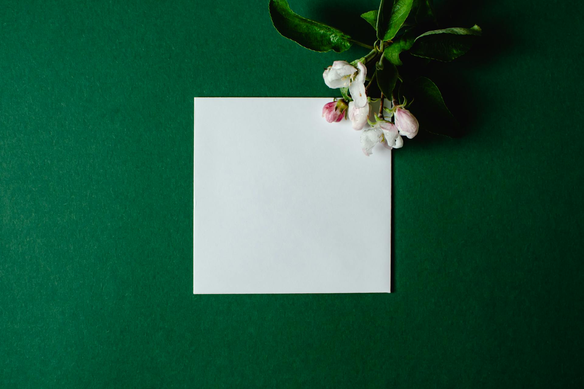 White paper with apple blossoms on green background, perfect for templates and designs.