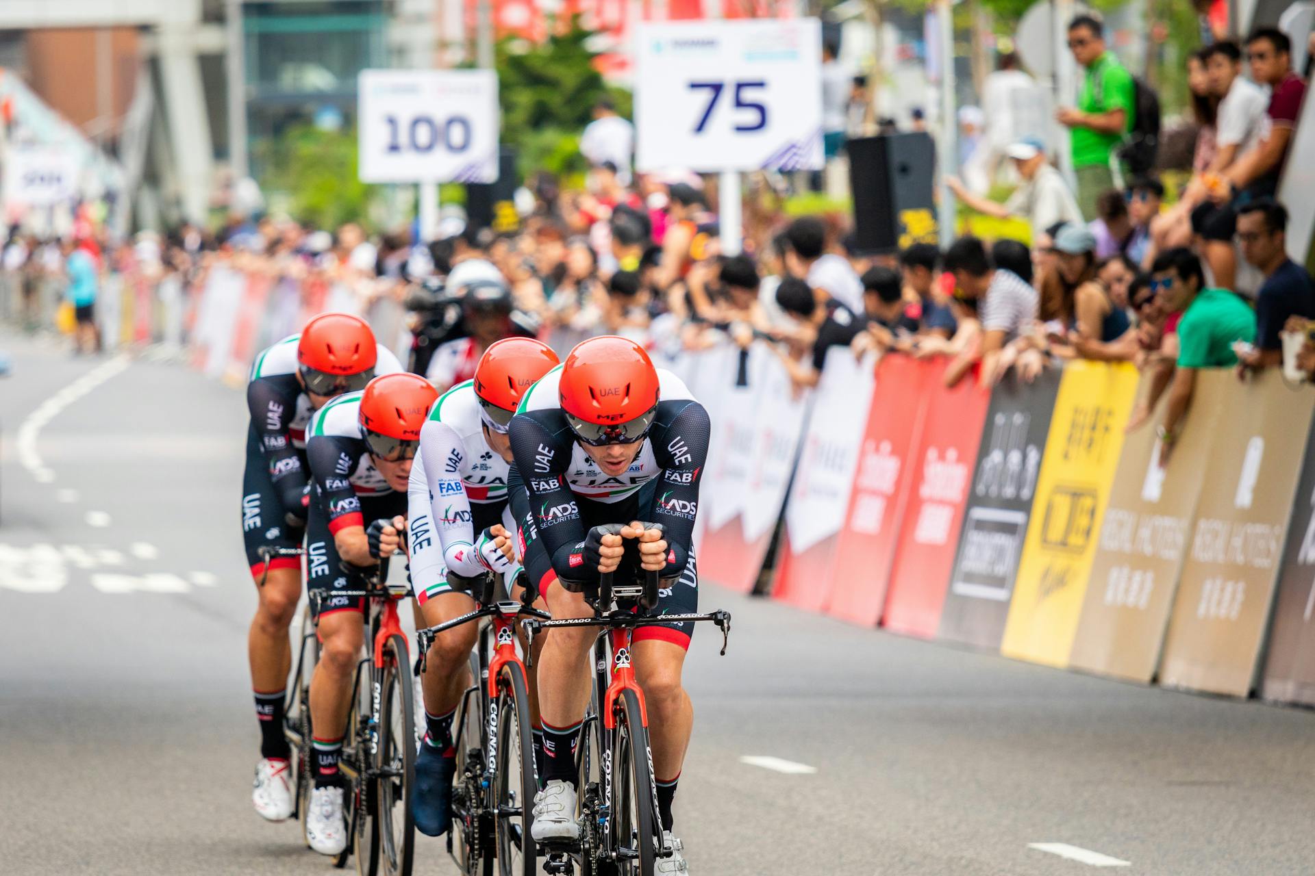 Cyclists racing in a team during a professional road cycling competition.