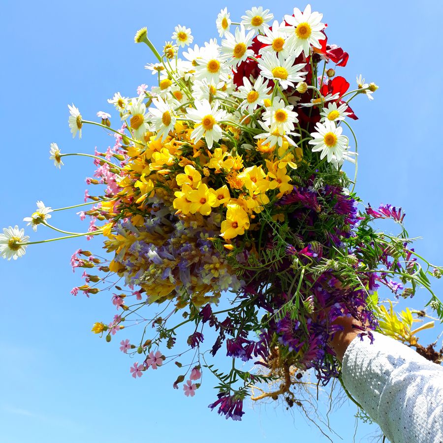 Cheerful wildflower-style mixed bouquet in a rustic vase