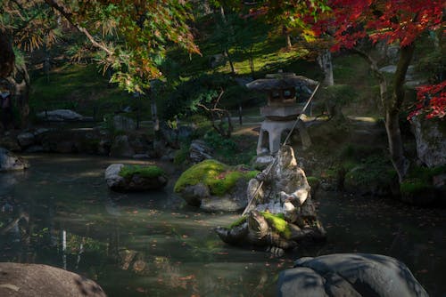 Darmowe zdjęcie z galerii z duchowość, japoński ogród, jesień
