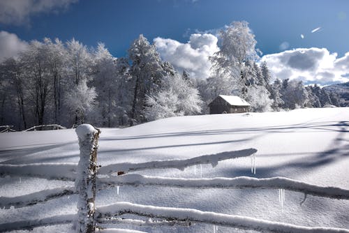 Heavy Snowfall Covering the Surface Ground