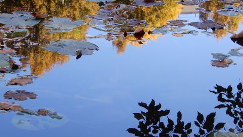 Free stock photo of autumn, blue, clear water Stock Photo