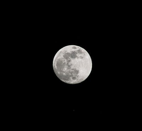 คลังภาพถ่ายฟรี ของ คืนท้องฟ้า, ถ่ายภาพพระจันทร์, พระจันทร์เต็มดวง