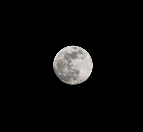 Free Captivating full moon in a dark night sky, showcasing lunar details. Stock Photo