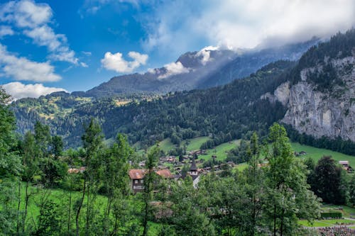 Imagine de stoc gratuită din altitudine inalta, arbori, case