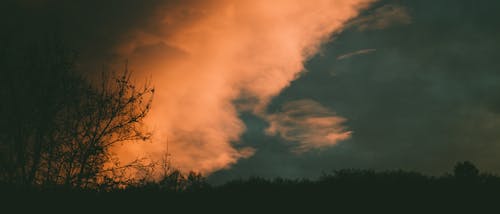 бесплатная Силуэт деревьев под голубым небом с белыми облаками Стоковое фото