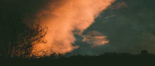 Silueta De árboles Bajo Un Cielo Azul Con Nubes Blancas