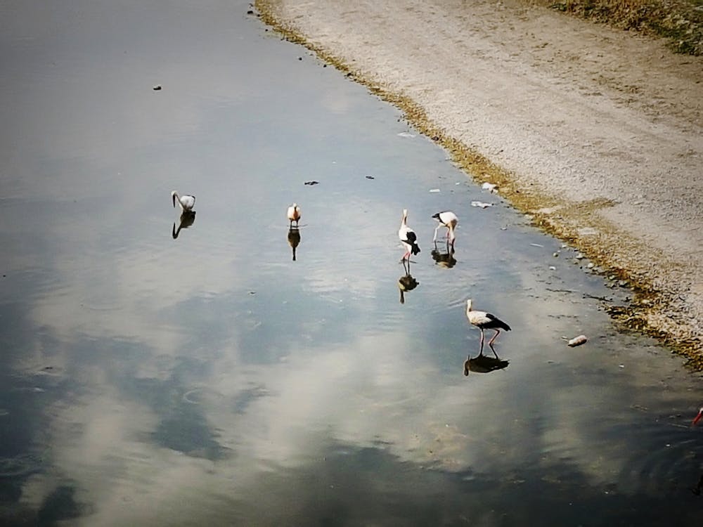 Gratis stockfoto met h2o, hemel, lucht