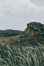 Mountain Covered with Trees