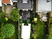 Green Trees Beside White Concrete House