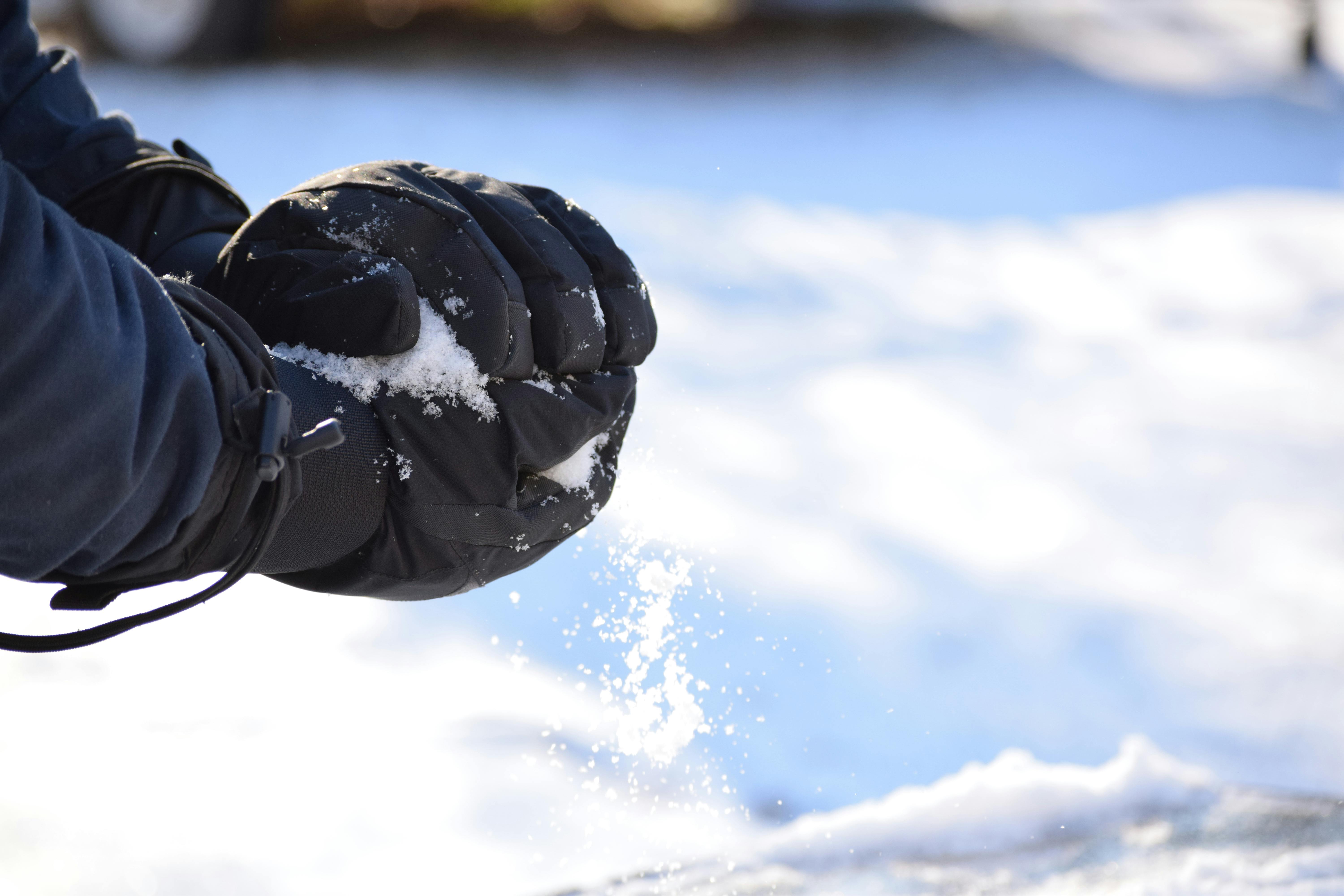 Free stock photo of cold, gloves, snow