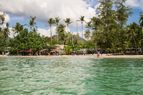 Бесплатное стоковое фото с вода, залив, кокосовые пальмы