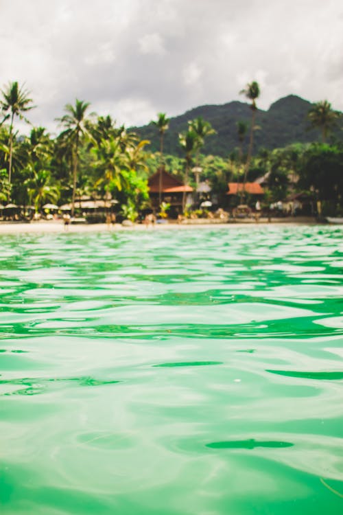 Body of Water on a Tropical Island 