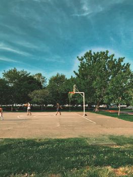 A scenic basketball court with players amidst lush trees on a sunny day.