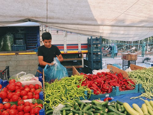 Foto profissional grátis de ação, alimento, comprar