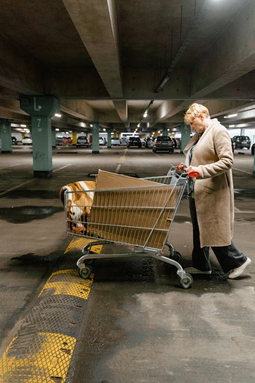 Lonely Woman Pushing a Shopping Cart