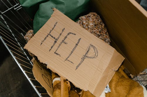 Ingyenes stockfotó adomány, doboz, hajléktalan témában