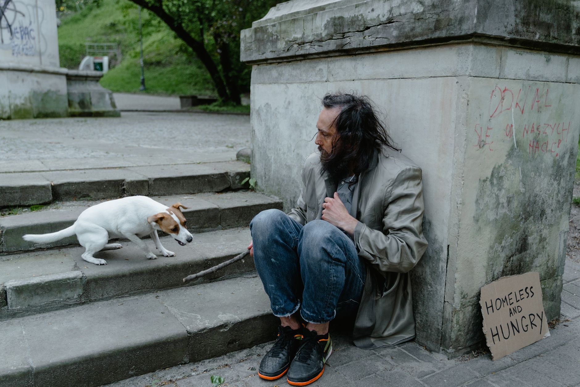 The Brutal Reality of Canine Liability