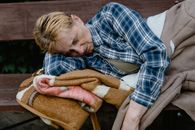 Free stock photo of adult, banner, beggar
