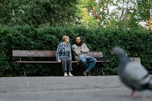 Photos gratuites de arbres verts, banc en bois, barbu