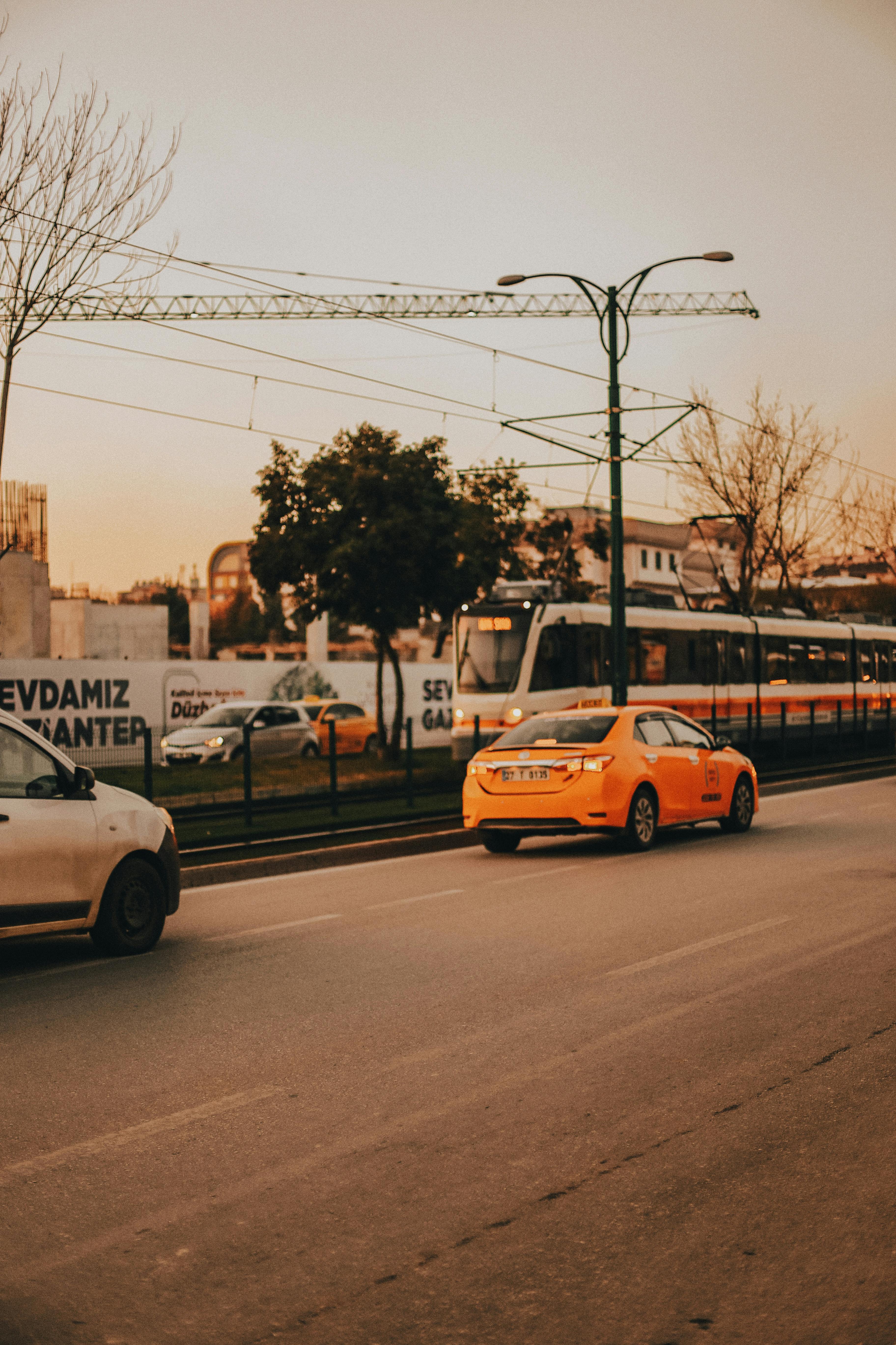 Gratuit Photos gratuites de affichage, arbres, architecture Photos