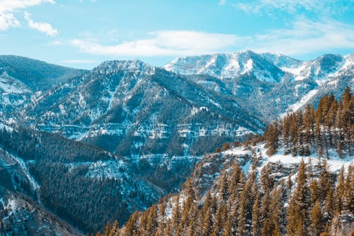 Kostenloses Stock Foto zu bäume, berge, landschaft