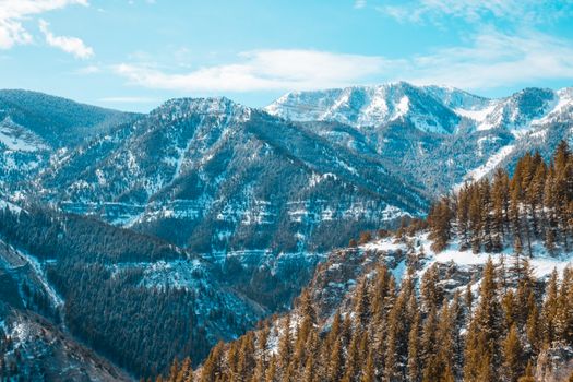 Breathtaking view of snow-covered mountains and pine trees under a clear blue sky.