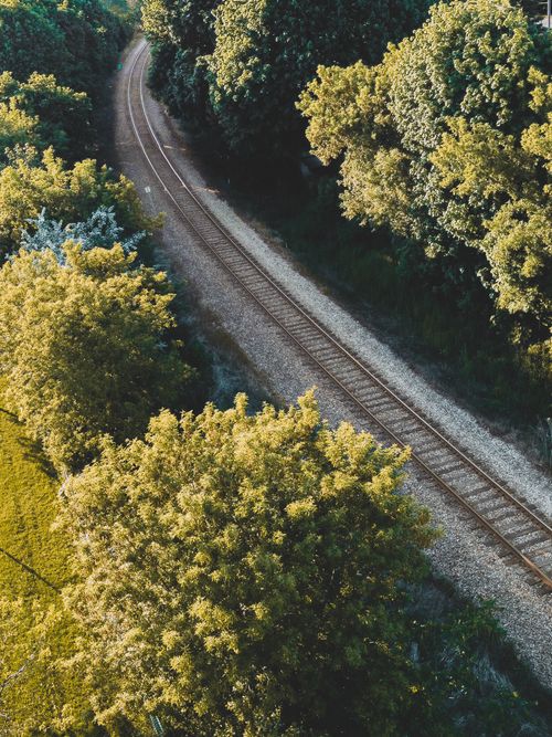 Free Elevated railway track winding through lush green forest, creating a tranquil rural scene. Stock Photo