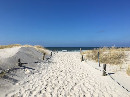 çim, deniz kıyısı, kum içeren Ücretsiz stok fotoğraf