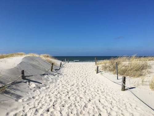 Foto d'estoc gratuïta de cel blau, Costa, herba