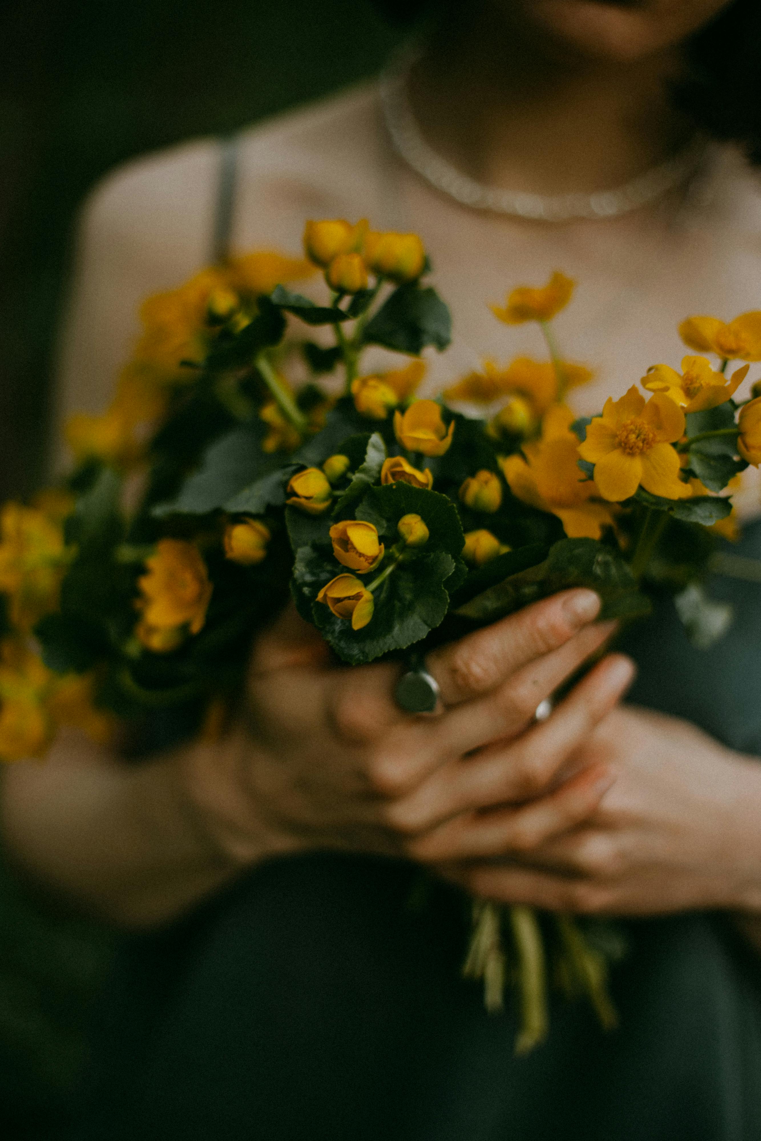 A close-up of a person holding a bouquet of vibrant yellow flowers with lush green leaves.