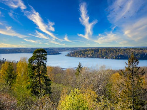 Imagine de stoc gratuită din cer, codru, lac