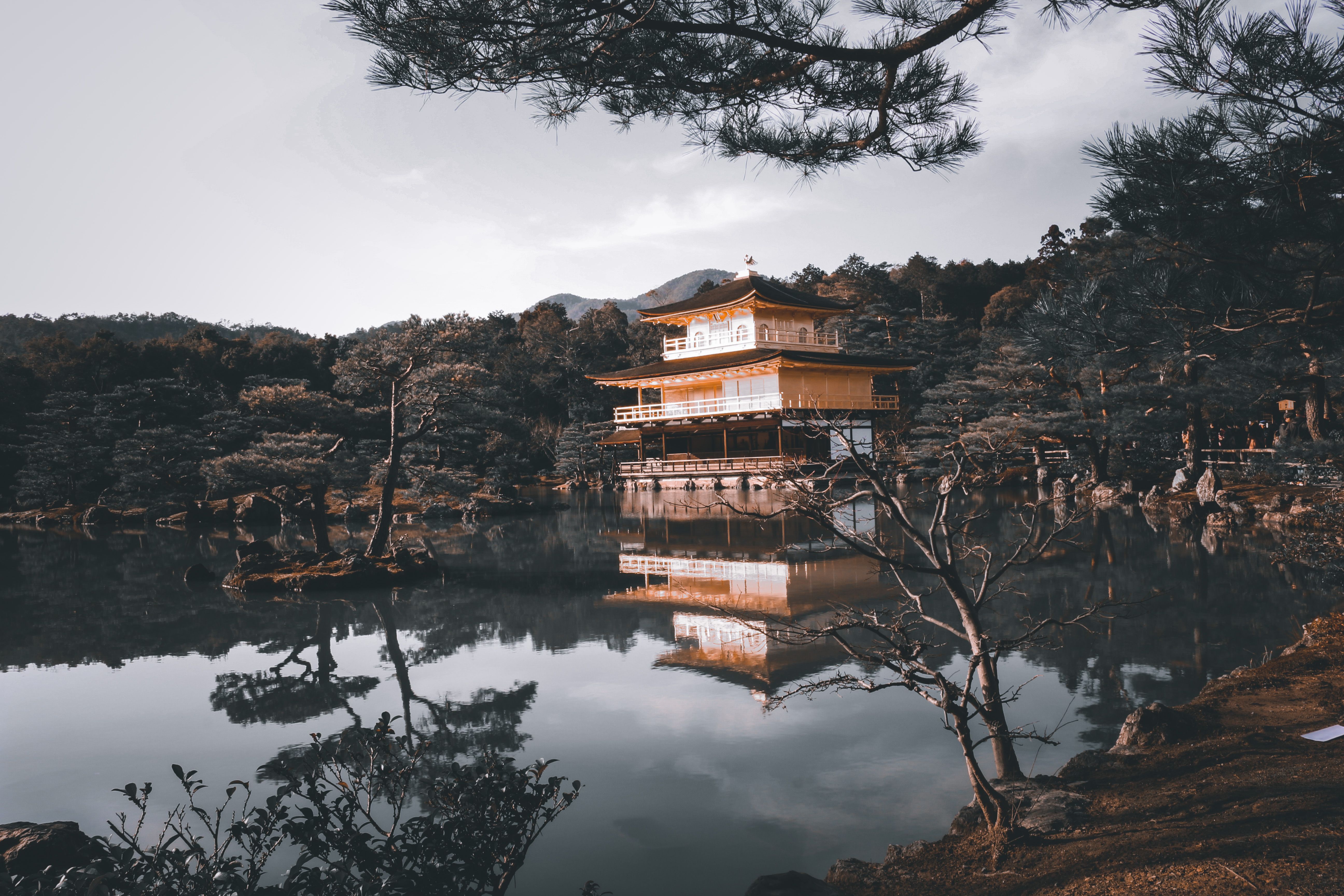 Kinkaku-ji Temple reflecting beautifully in a serene lake, surrounded by lush greenery.