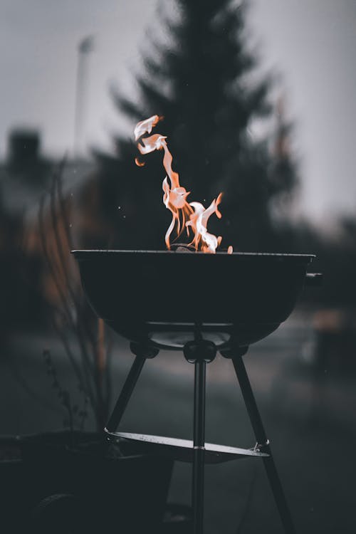 Ingyenes stockfotó barbecue, égő, főzés témában