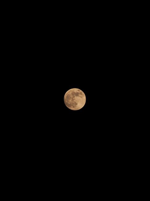 A magnificent view of the full moon against a dark night sky, showcasing lunar details.