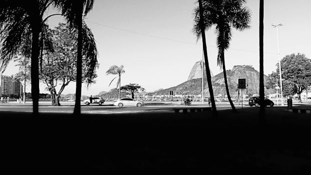 单色景观展现了城市里的棕榈树和山脉轮廓