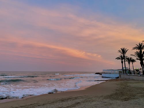 サンセットビーチ, ビーチ, ピンクの太陽の無料の写真素材