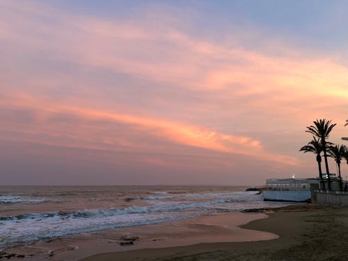 Free stock photo of beach sunset, beatiful landscape, palms Stock Photo