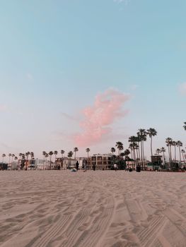 Tranquil beach view with palm trees during a colorful sunset, featuring wide open sand space.