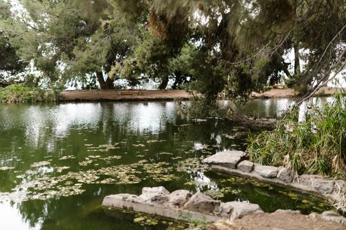 Free Serene and peaceful forest lake with lush greenery and reflective waters creating a calming atmosphere. Stock Photo