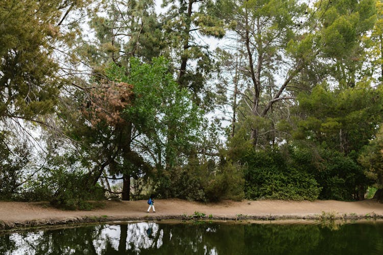 A Person Walking By The Lake