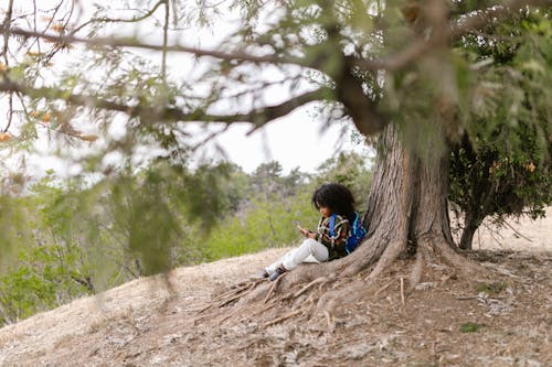 açık hava, ağaç, akıllı telefon kullanma içeren Ücretsiz stok fotoğraf