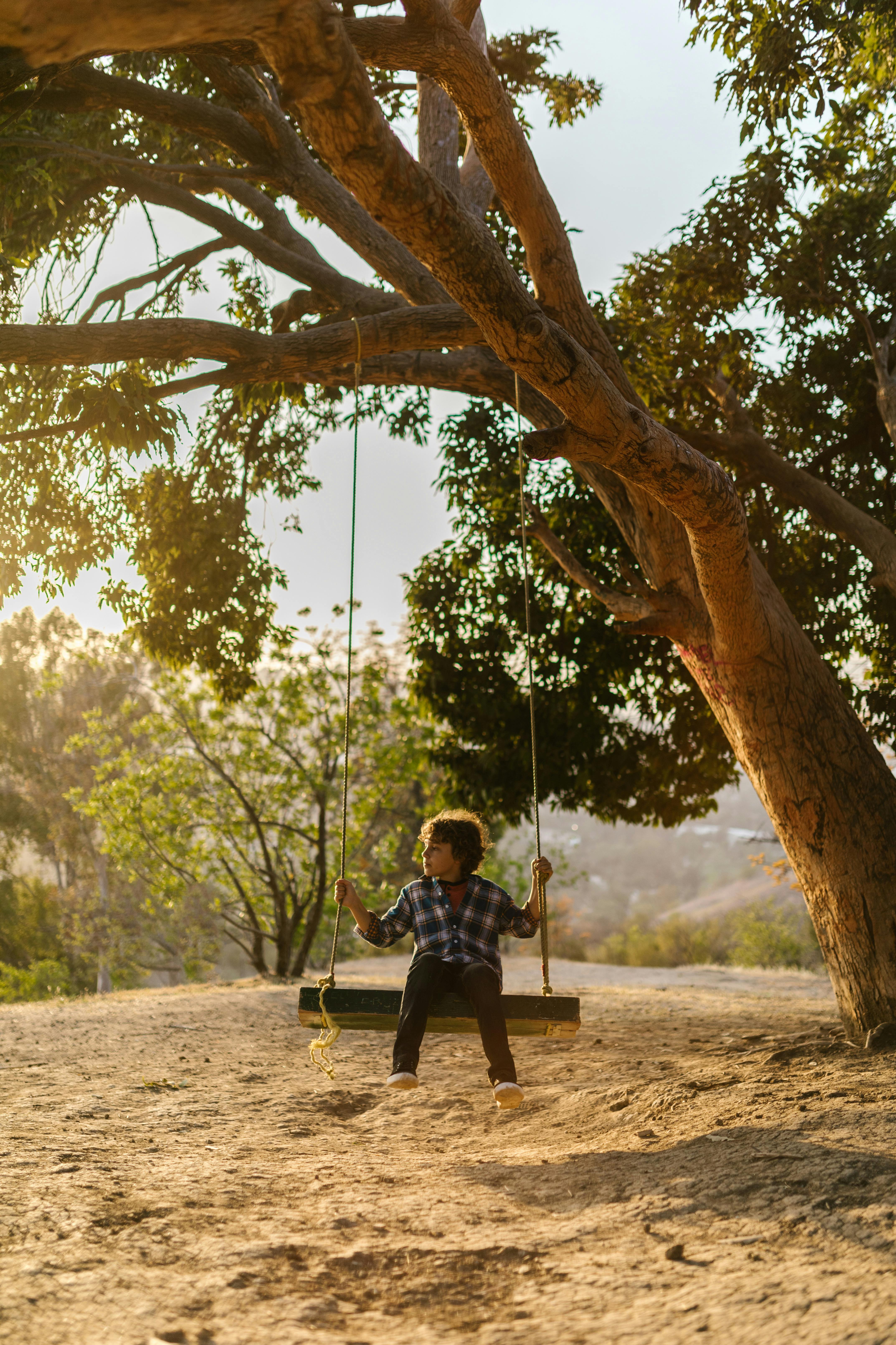 a boy riding a swing under a tree