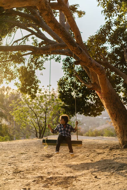 Free A Boy Riding a Swing Under a Tree Stock Photo