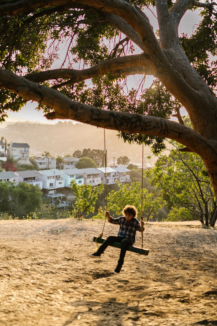 A Boy Swinging Under A Tree