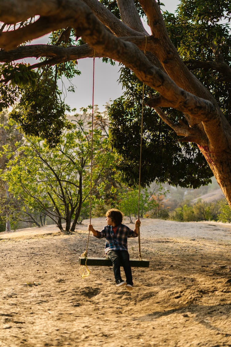 A Boy Riding A Swing Under A Tree