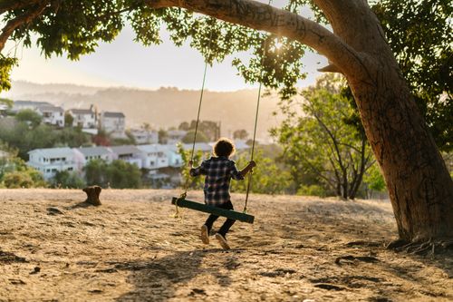 Free A child joyfully swings under a tree, enjoying the outdoors at sunset. Stock Photo