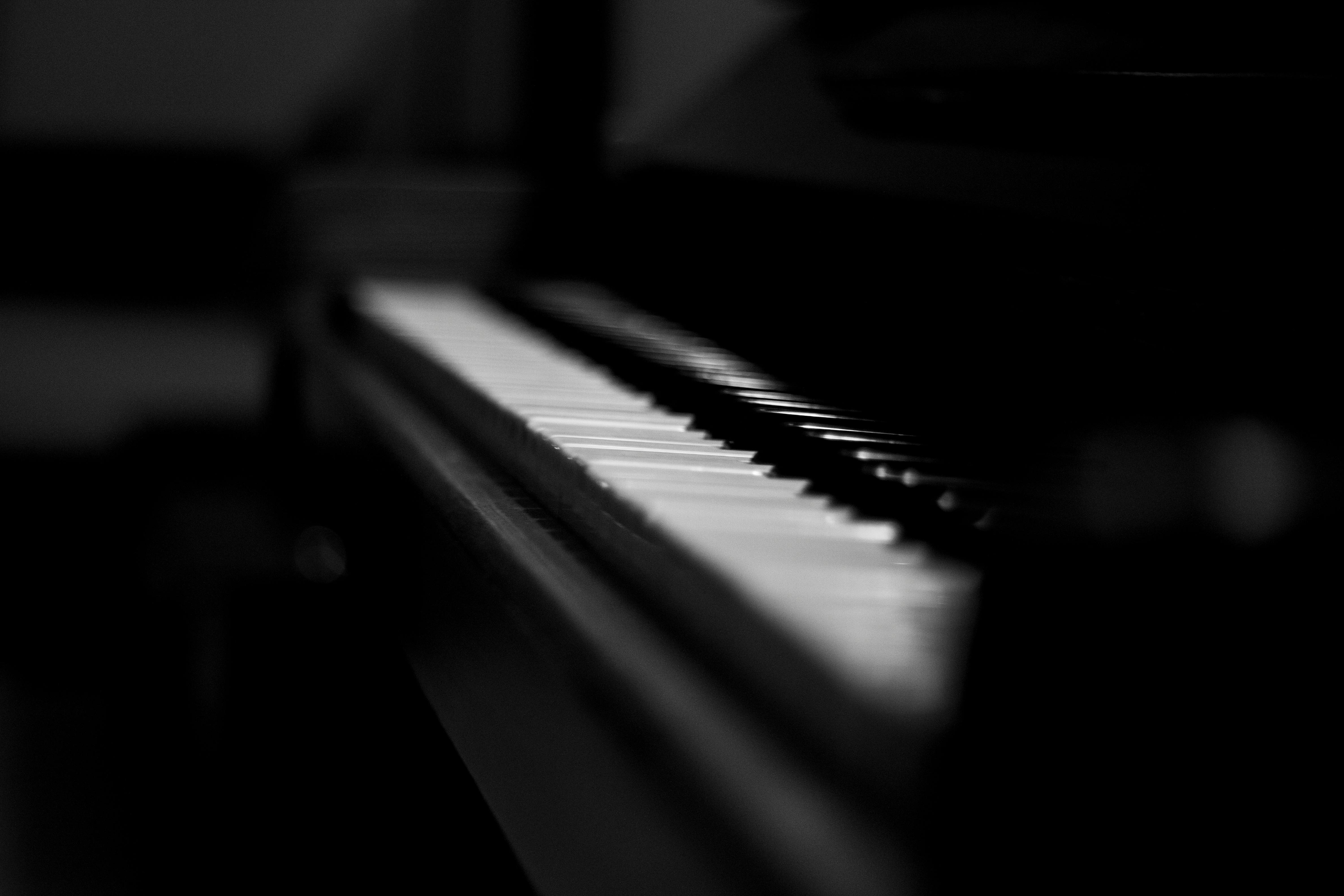 Free stock photo of black and white, music, musician